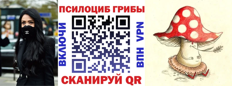 Галлюциногенные грибы мицелий  Купить где  Иланский 